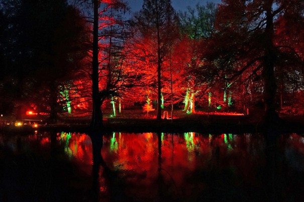 Elation Enchanted Woodland Woodland Lightshow