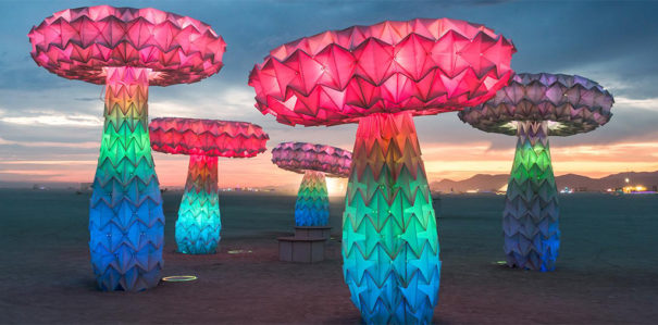 No Spectators- The Art of Burning Man