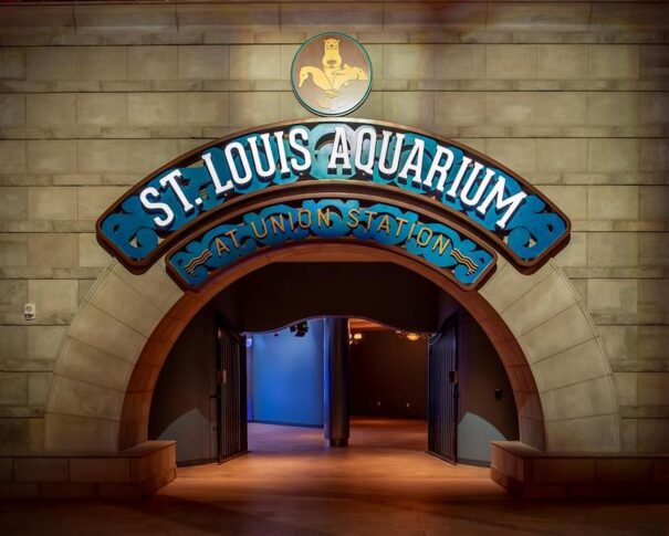 Analog way aquarium St Louis de-zyn studios