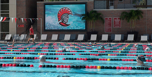 Planar en Universidad de Tampa